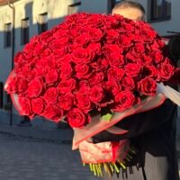 100 rožių Vilniuje su pristatymu