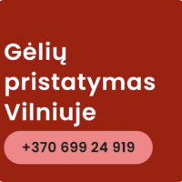 geliu pristatymas vilniuje
